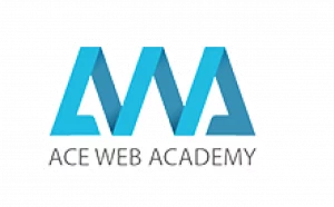 ace web academy