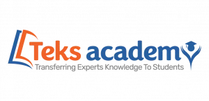 teks academy institute