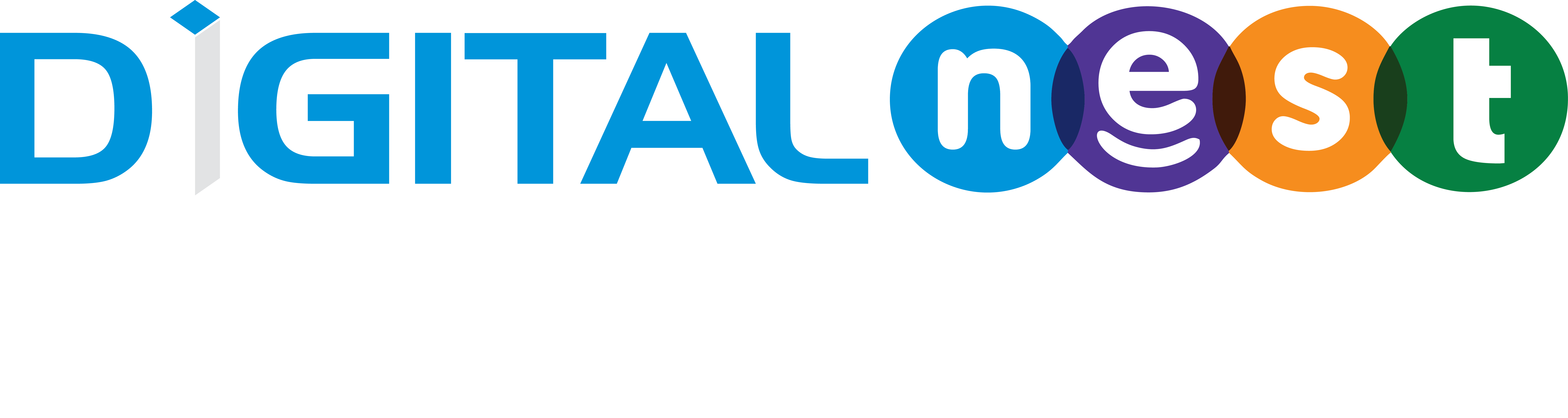 DigitalNest Logo