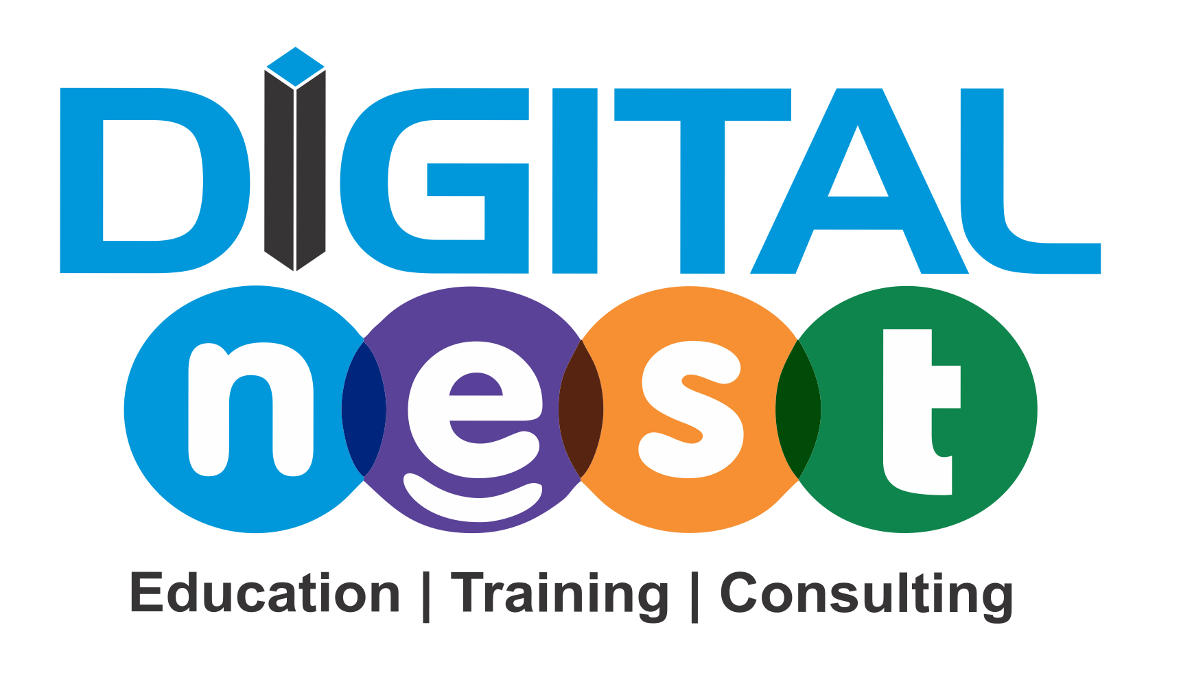 Digital Nest Logo
