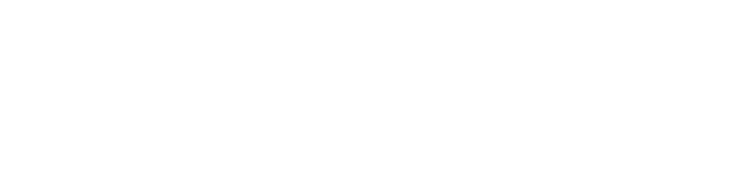 Digital Nest Logo